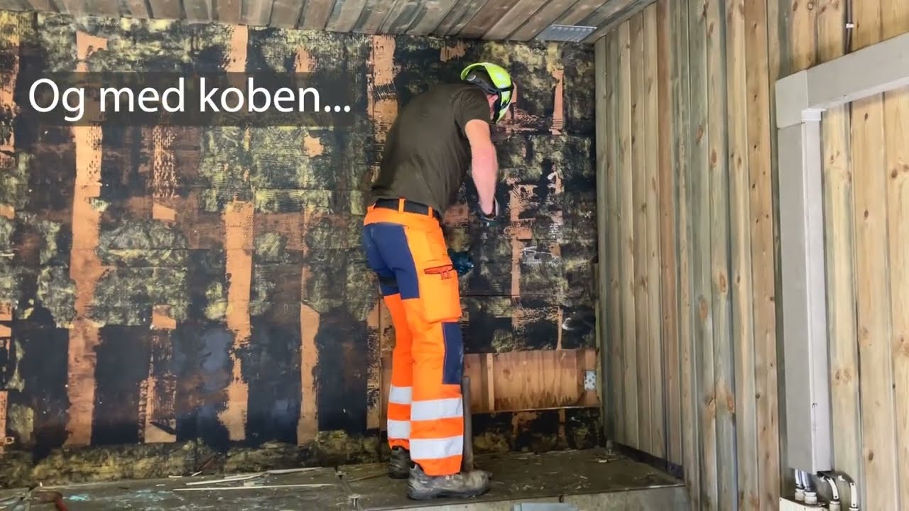 Kæmpesnegle indtager snart Holstebro