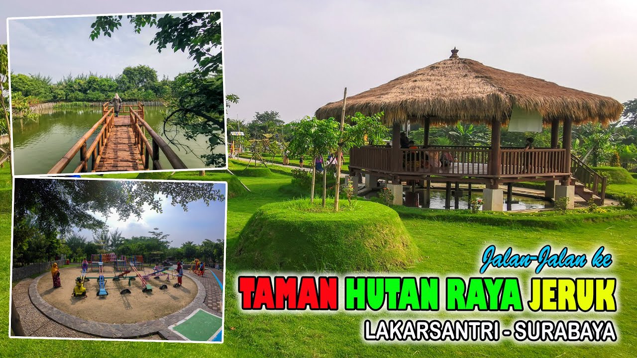 Jalan-Jalan ke Taman Hutan Raya Jeruk I Lakarsantri, Surabaya I Tahun 2021