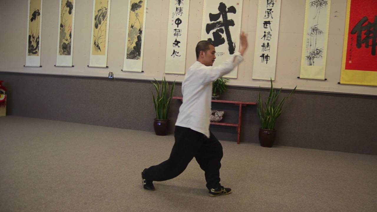 48 Yang style Tai Chi