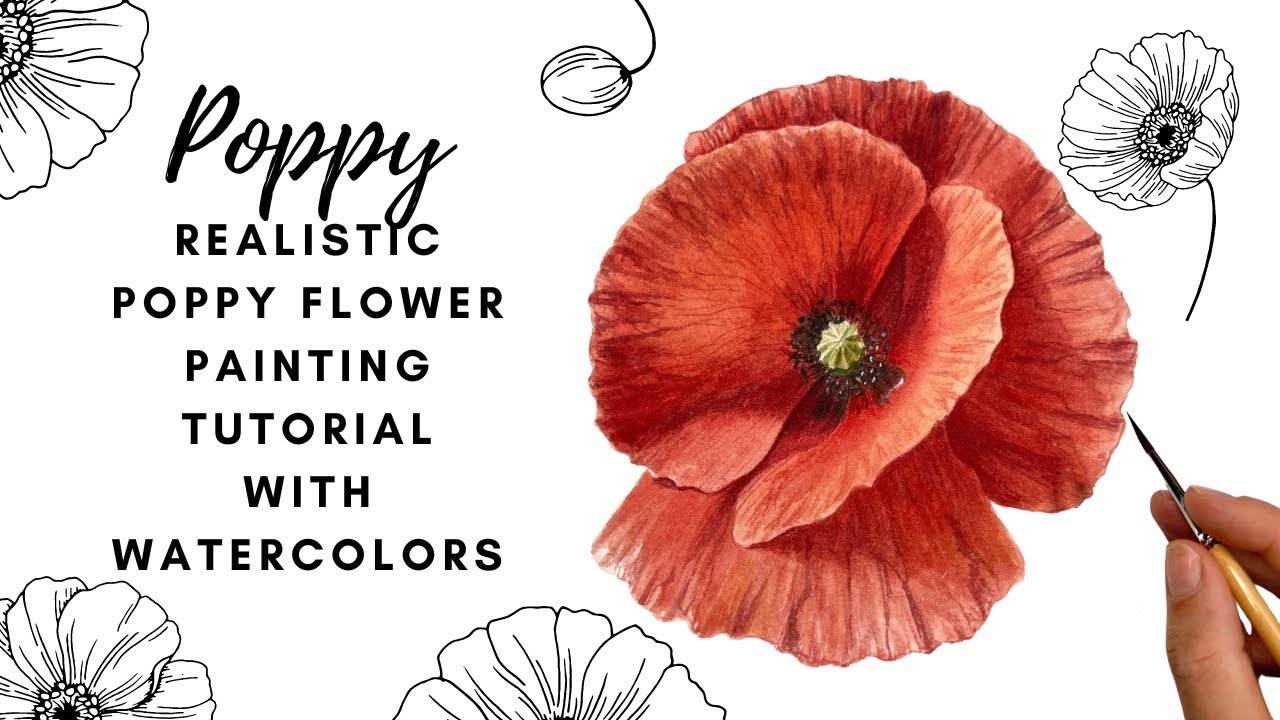 Realistic Poppy Flower Painting Tutorial 🌺 Red Poppy Flower 🌺 Watercolor Painting Tutorial