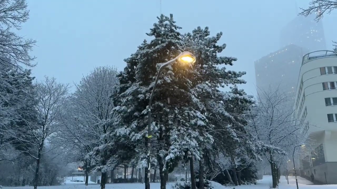 Winter in Wien - Dezember 2023 im Schnee