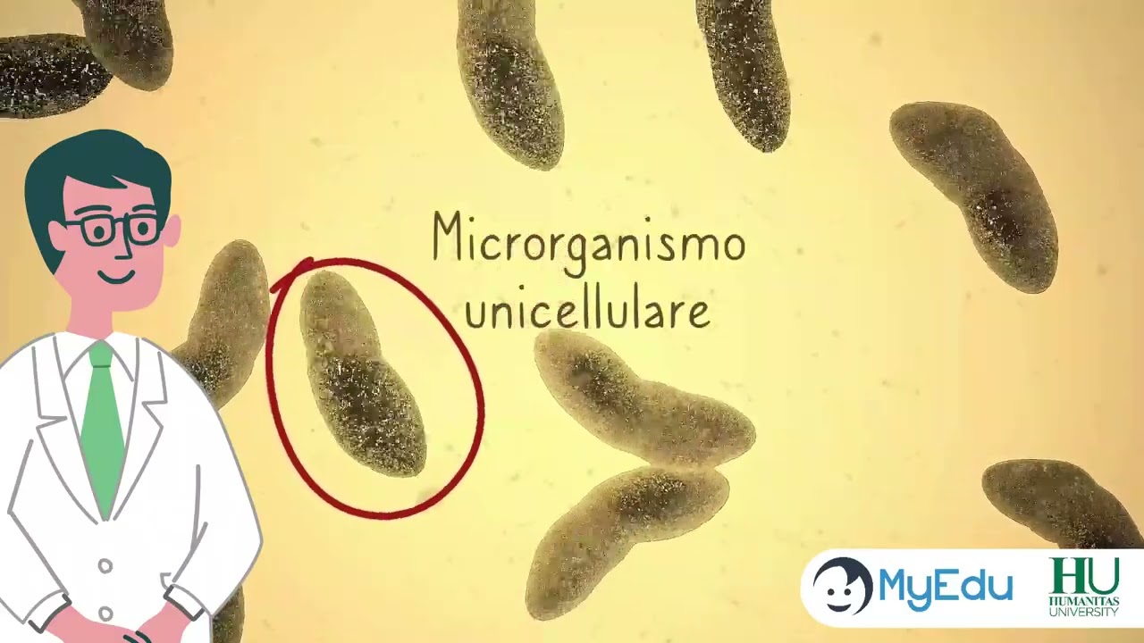 Lezione 1 | Come sono fatti i virus e i batteri?