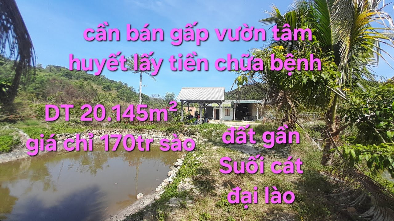 #174 quá cần tiền để chữa bệnh bán vườn tâm huyết giá rẻ để chữa bệnh gấp