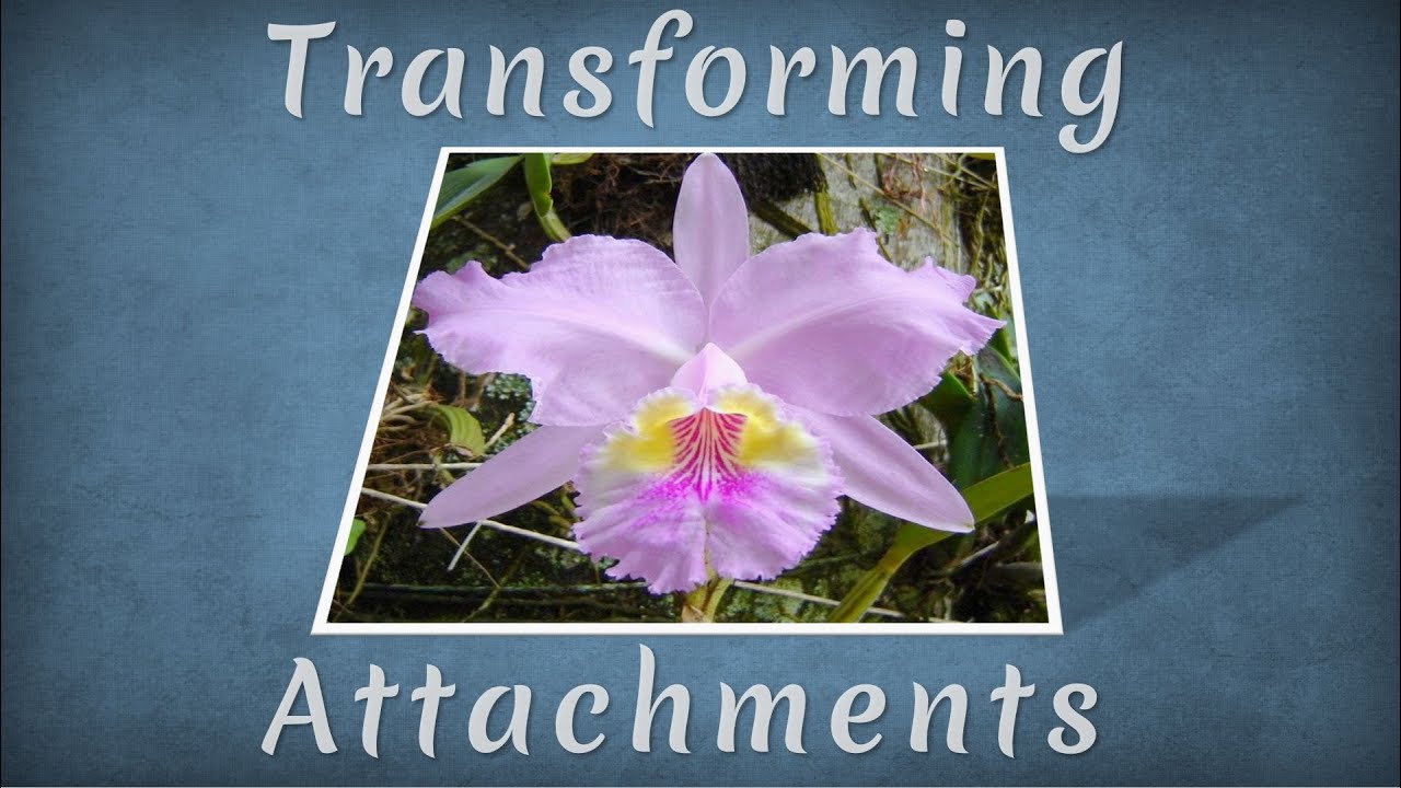 Transforming Attachments  |  TE 467