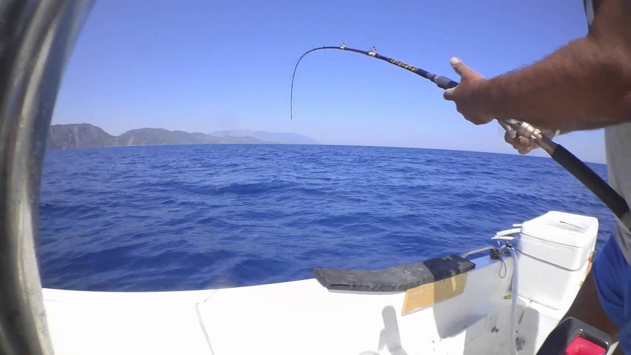 fishing!!special pagrus pagrus