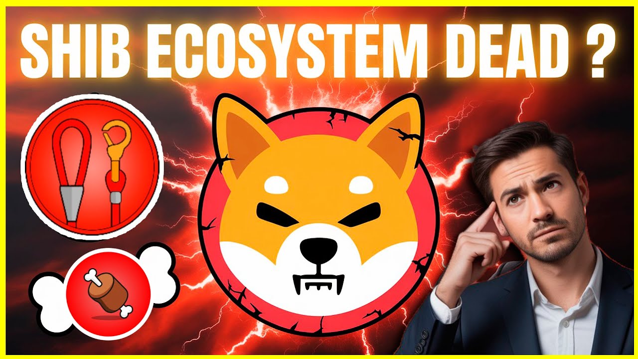 SHIB Ecosystem Dead? Truth About $SHIB $LEASH $BONE in 2025
