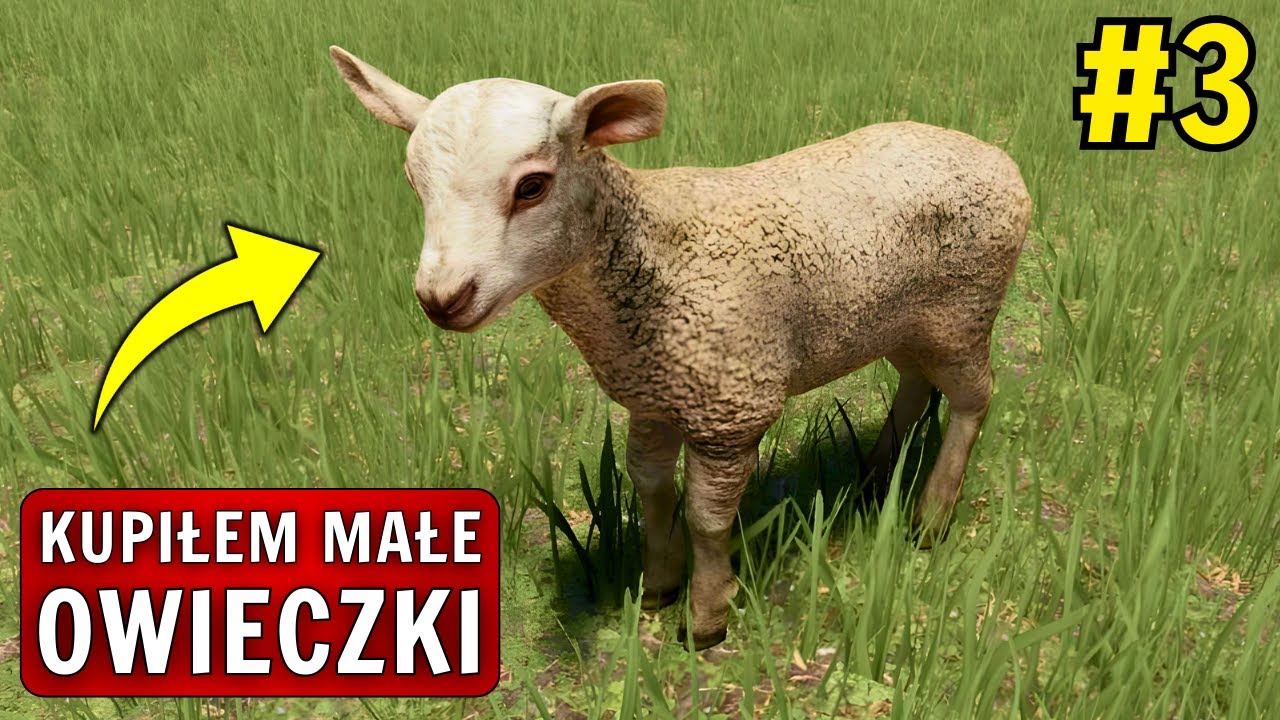 MAM MALUTKIE OWIECZKI! 🐑 OD ZERA NA PŁASKIEJ MAPIE #3