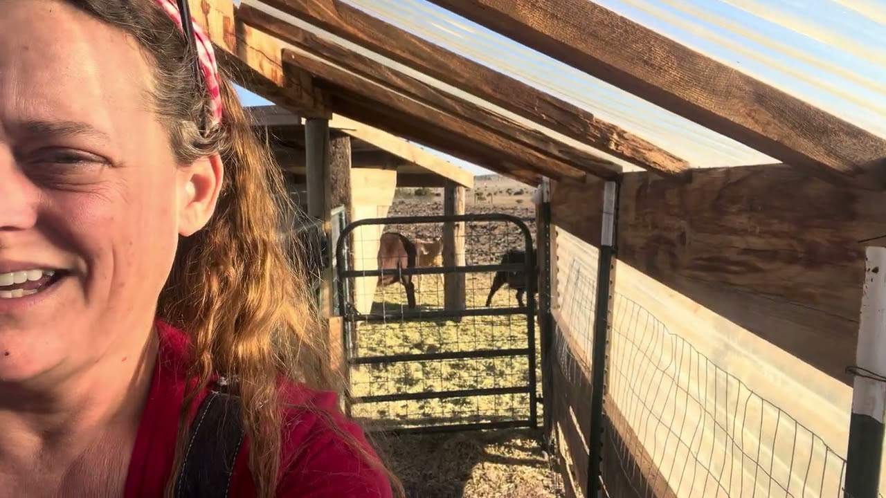 Testing out angles and camera station ideas while doing chores. 