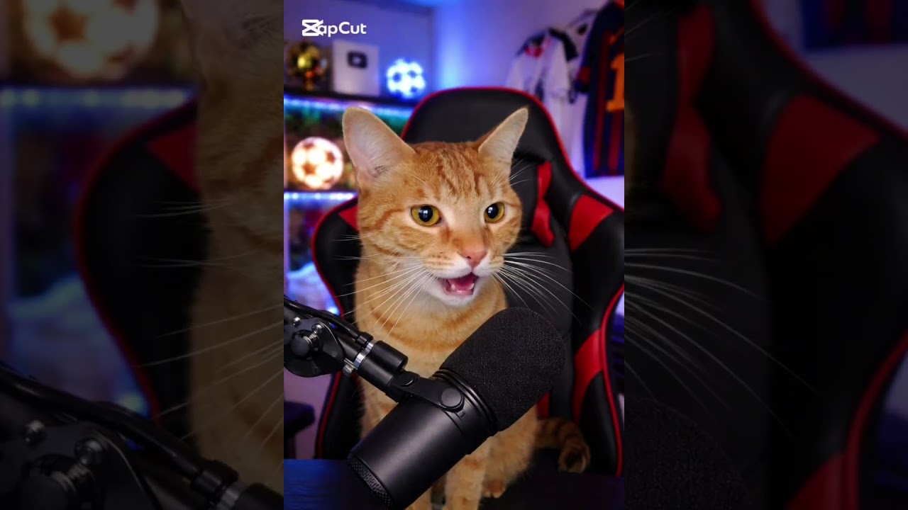 Selecciones que perdieron la final de un torneo siendo locales