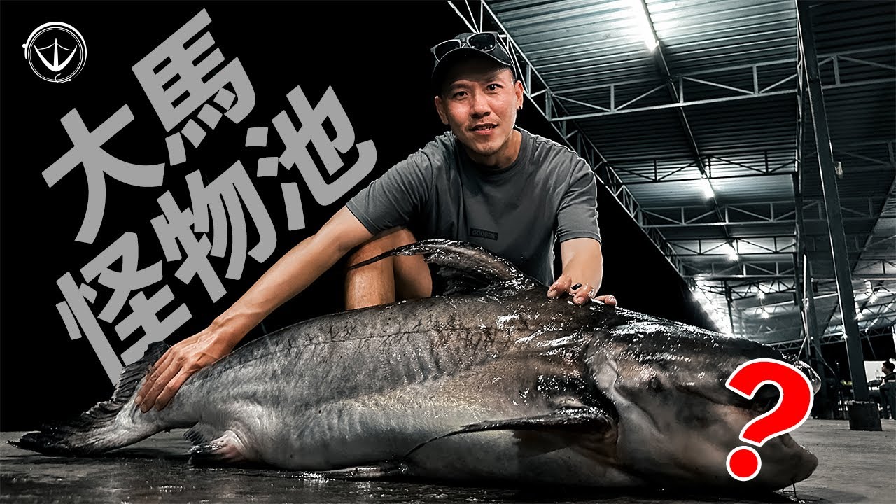 『馬來西亞🇲🇾』超級重訓！跟人一樣大的魚！你的裝備夠力嗎？#鵝大人 #馬來西亞 #路亞