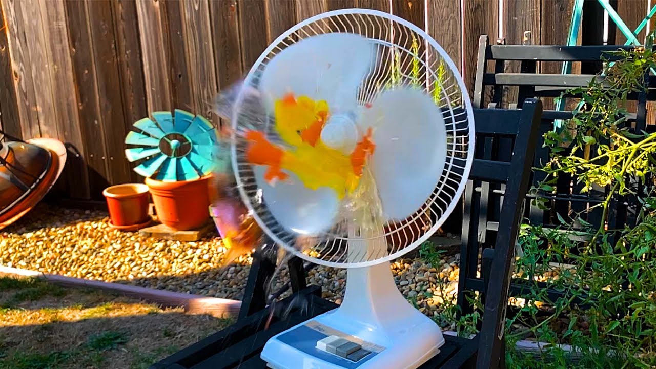 Aries Table Fan Destruction & Motor Burnout