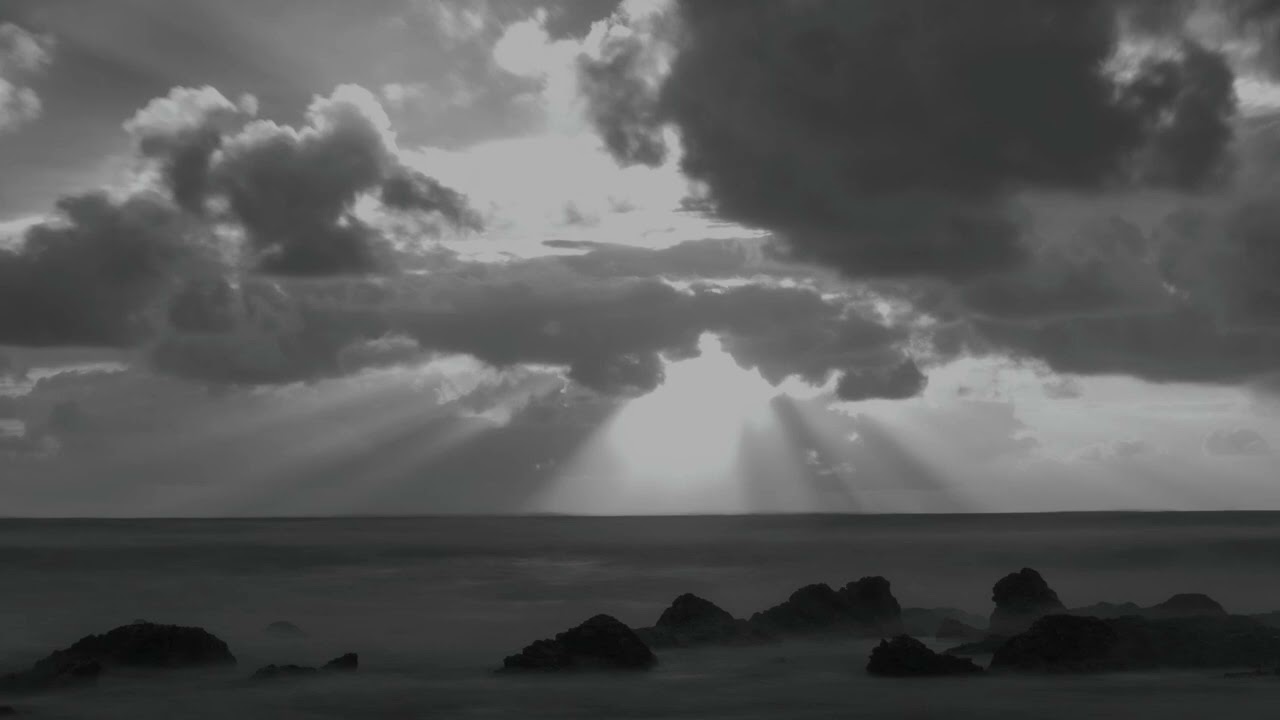 A New Paradise