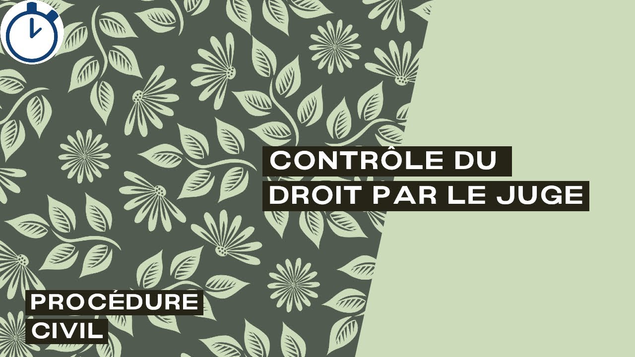 Contrôle du Droit par le Juge : [Procédure civile]