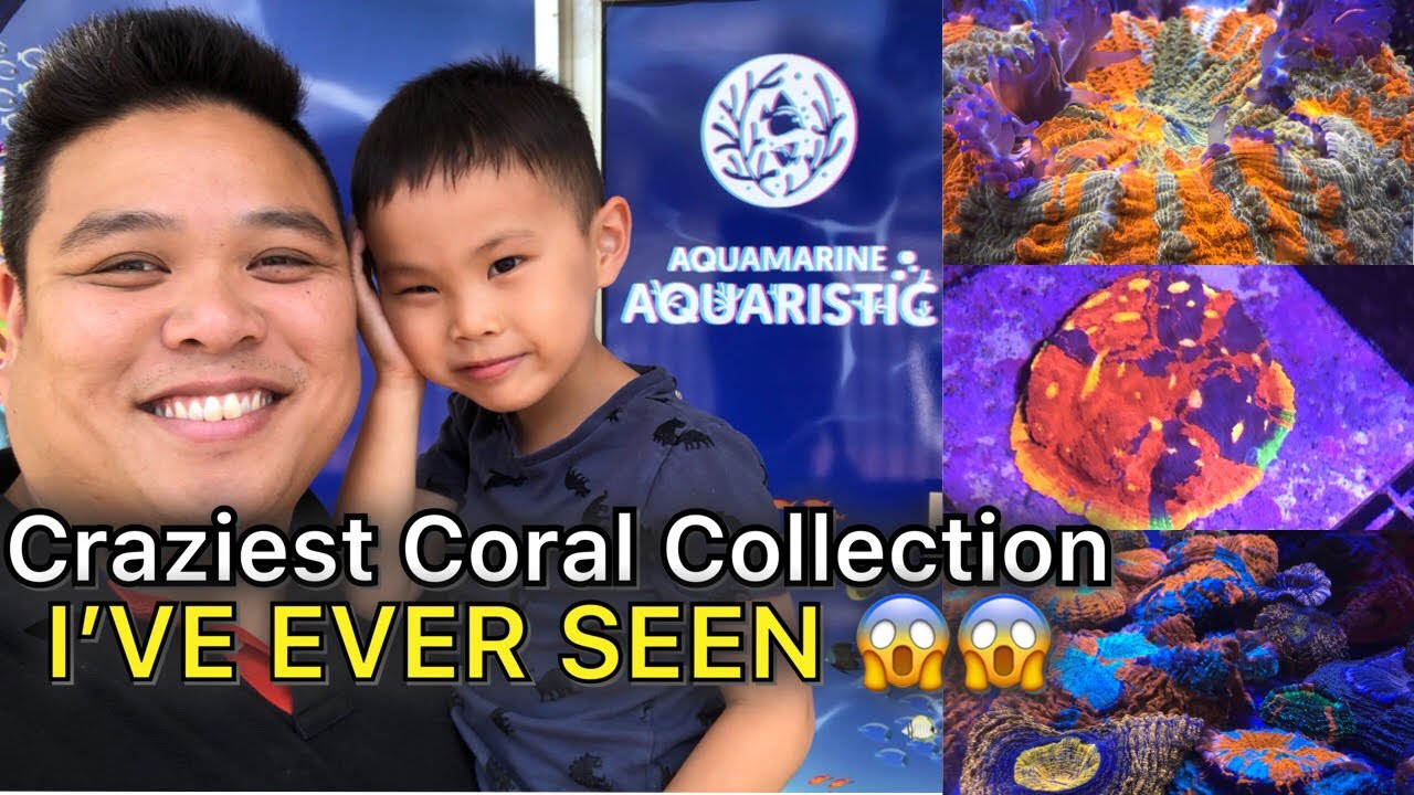 The CRAZIEST Collection of Coral I&rsquo;VE EVER SEEN!! Aquamarine Aquaristic!! 😱😱😱😱