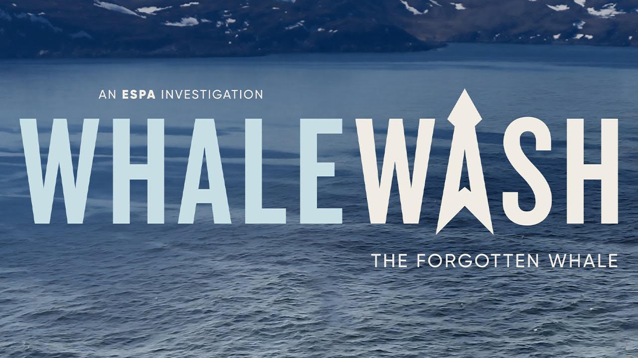 Whale Wash - The Forgotten Whale (2023)