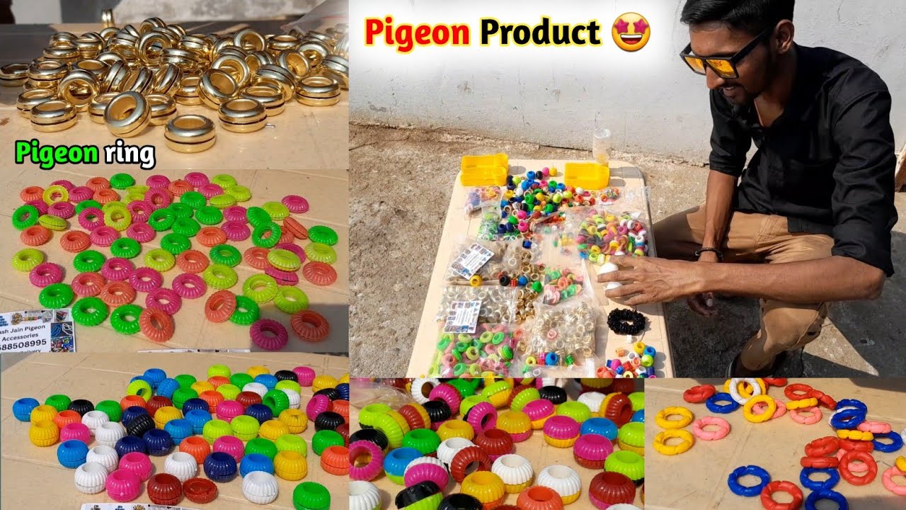 दूसरे शहर से कबूतरों का समान आया !! Pigeons 🕊️ Accessories From Another Town !! Pigeon Product 🤩