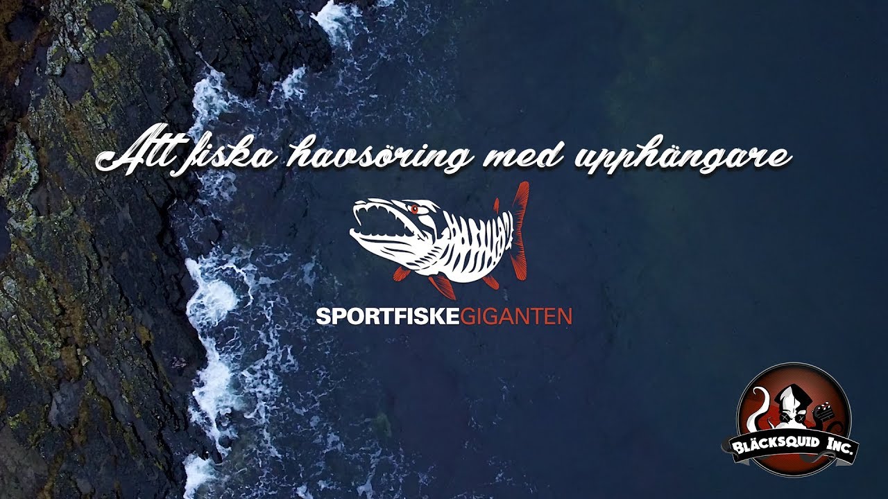 Fiska havs&ouml;ring med en upph&auml;ngare!
