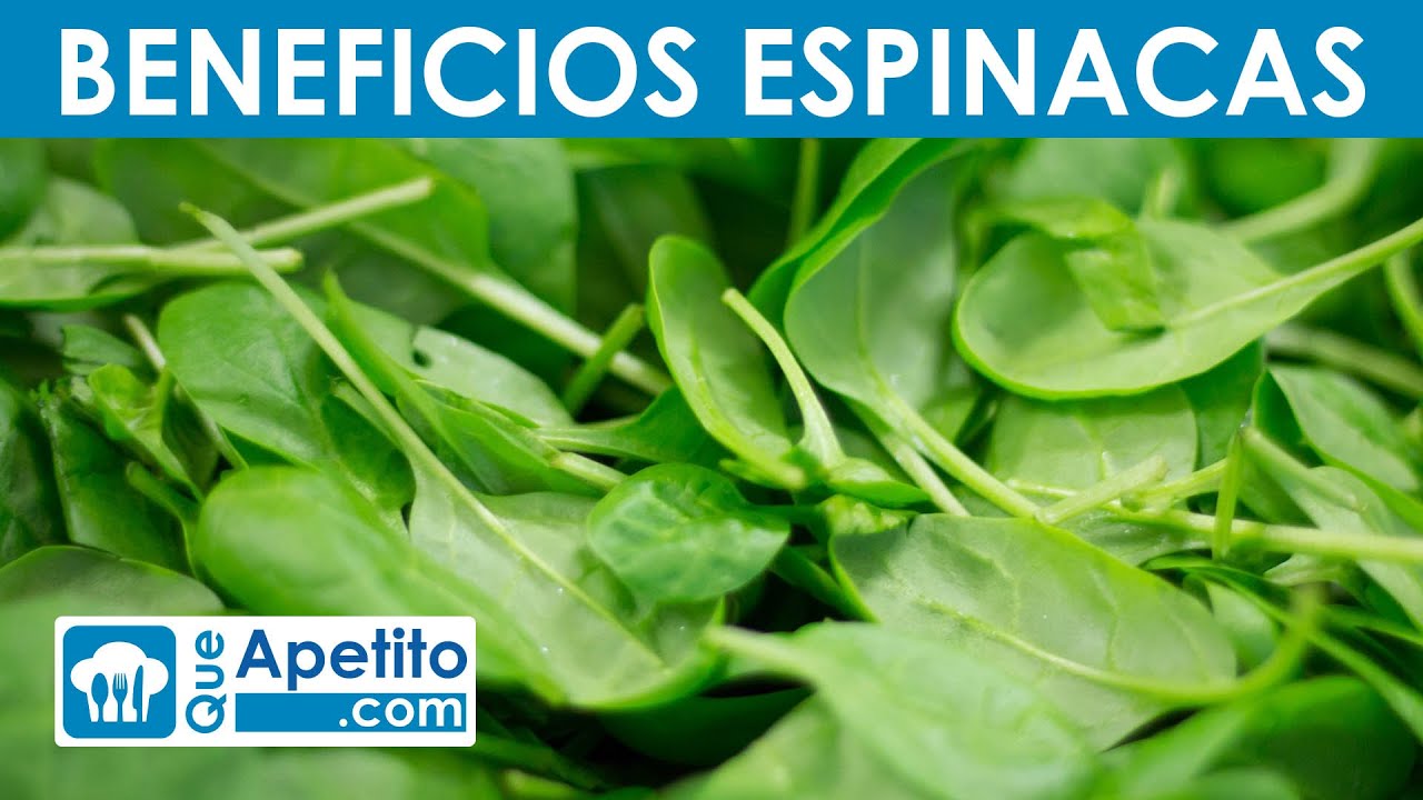 8 Propiedades y Beneficios de las Espinacas | QueApetito