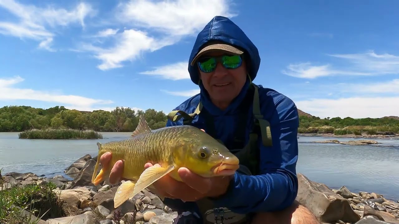 Yellowfish on Fly: The Epic Battle Continues – Part 2 with Rudolph Scheepers!