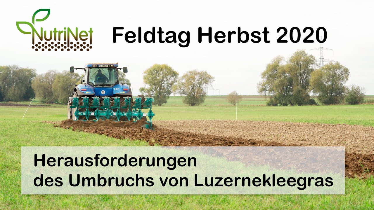 NutriNet-Feldtag: Herausforderungen des Umbruchs von Luzernekleegras