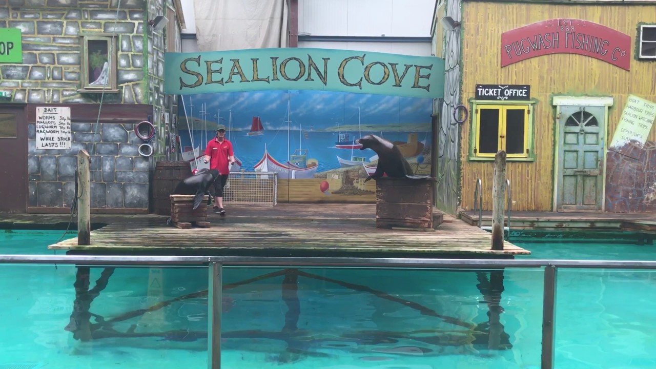 Knowsley Safari Park Sea Lion Show 2017