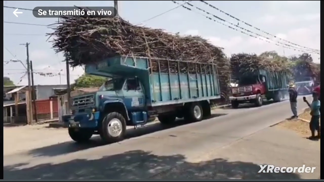 ejido potrero viejo