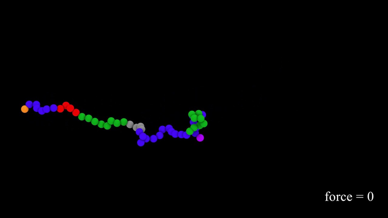 Design 18 - Molecular Force Sensor