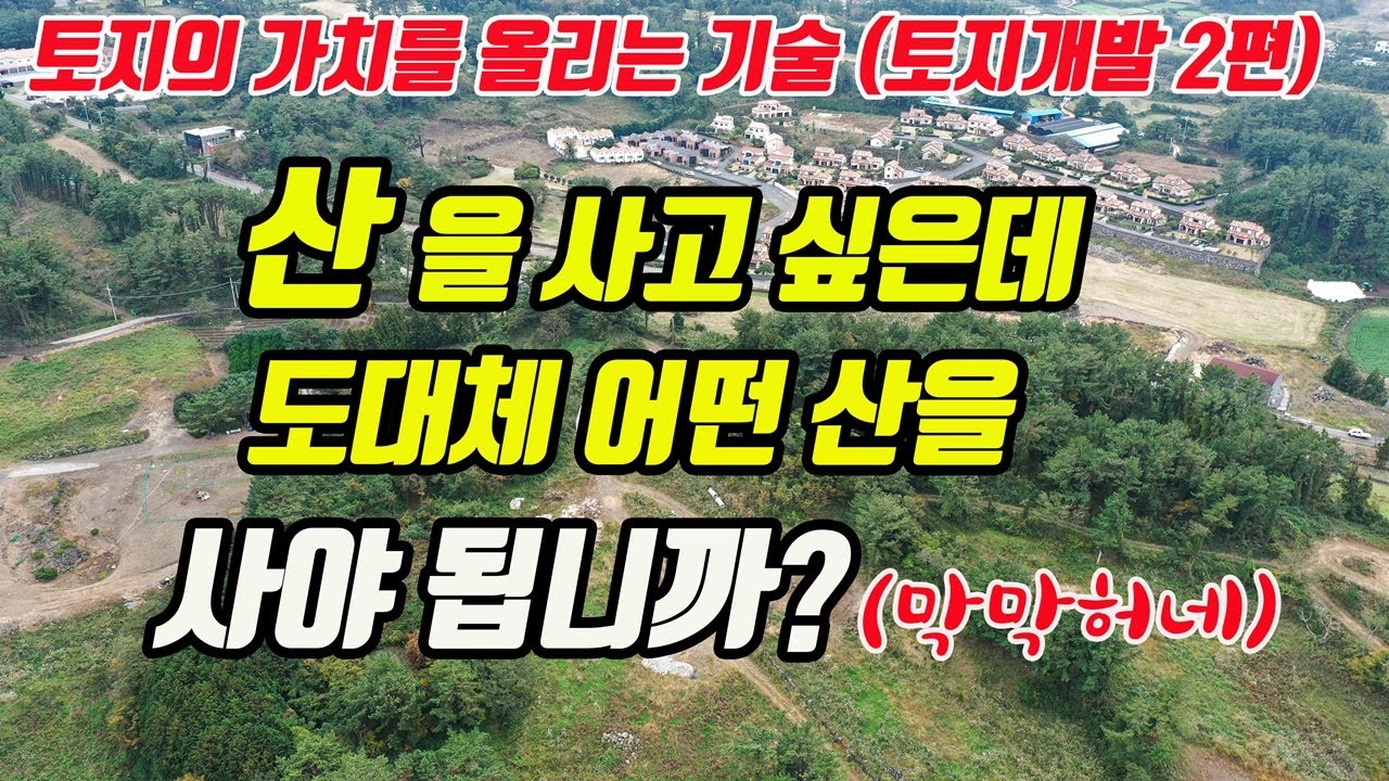 (토지재테크 2편) 임야 산지를 사고 싶은데 어떤 산을 사야 되나요?