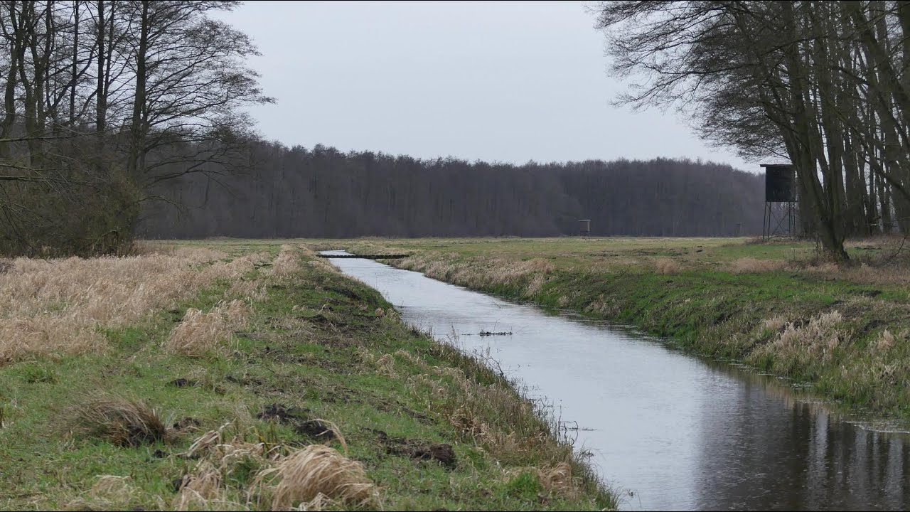 Das vergessene Moor