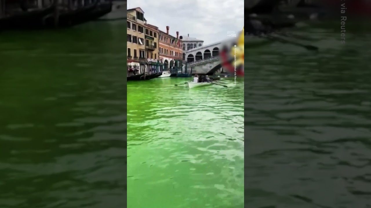 Officials Investigate Cause of Venice Canal Turning Fluorescent Green