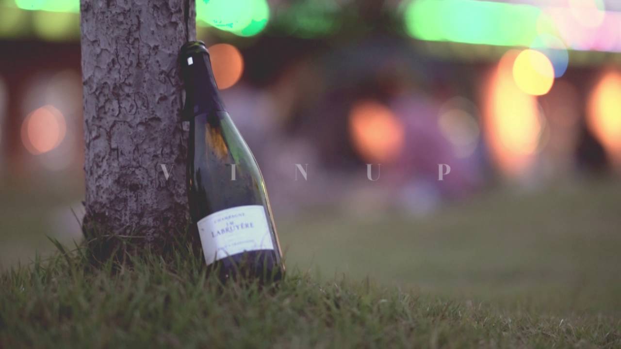 vinup part2