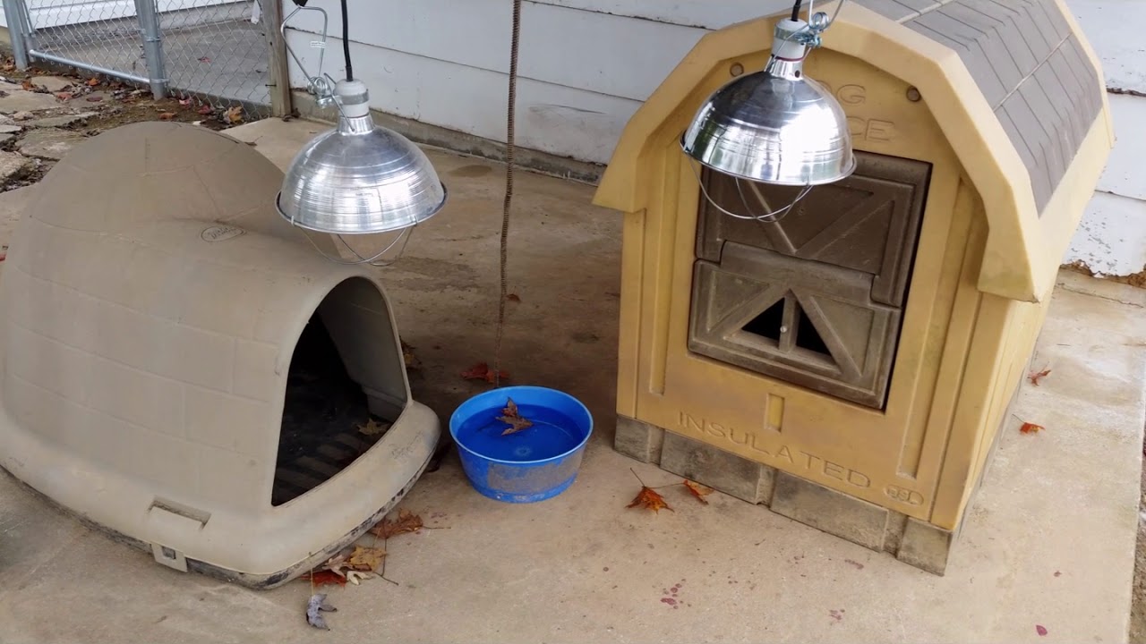 Keeping Dogs Warm with Alexa and WeMo