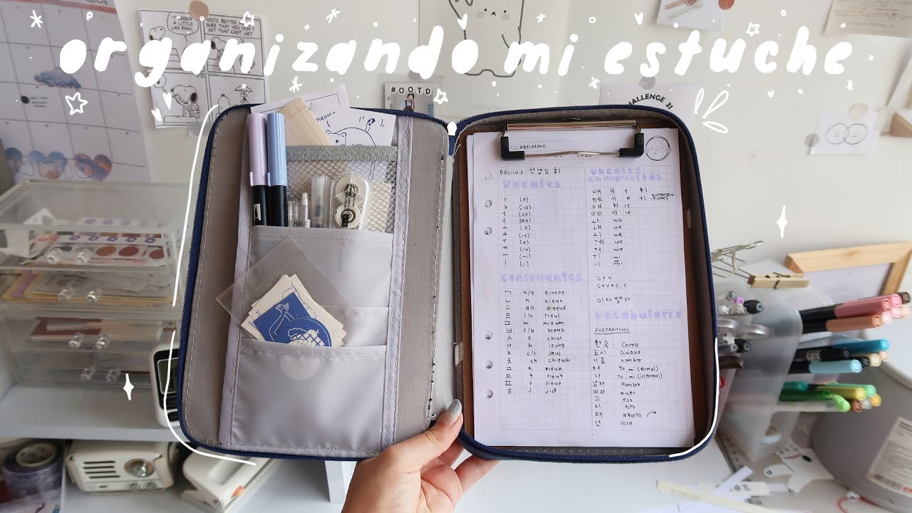 ♡qué llevo en mi estuche multifuncional y cómo lo organizo♡ | sofiapricot