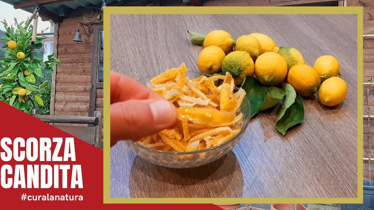 Scorza di Limone Candita