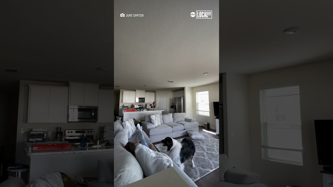 Dog helps owner during seizure