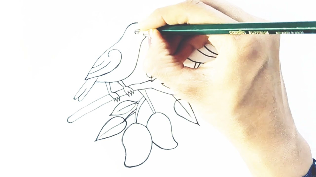 #viral#trending||Bird on mango tree🐦🥭 drawing#art#sketch#draw 