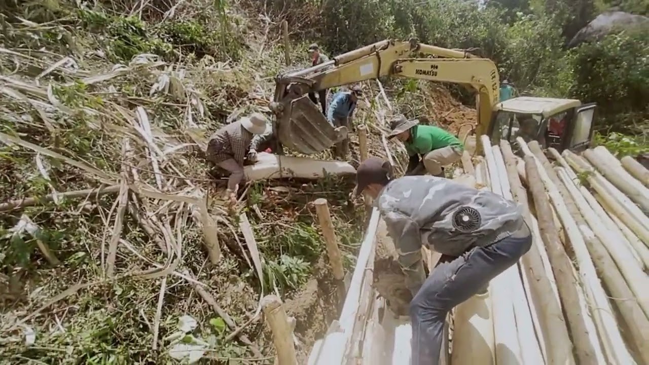 “Backbreaking Tree Hauling – Earning a Living in the Mountain Forests