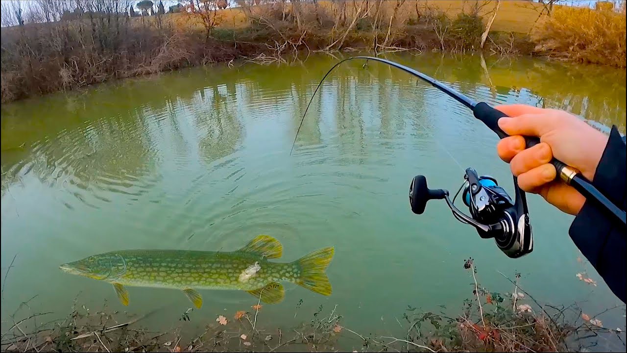 Cattura STRAORDINARIA in uno STAGNO MINUSCOLO! Challenge di Pesca in Lago con UNA CANNA DA EGING?!