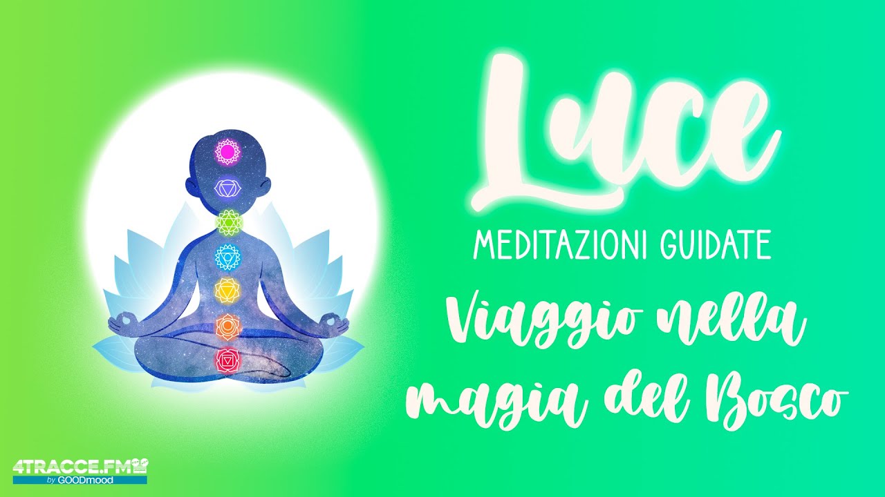Viaggio nella magia del Bosco. Meditazione guidata di 20 minuti.