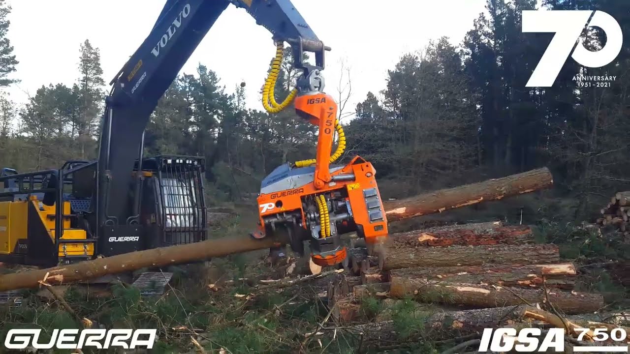 Volvo EC250ENL con cabezal GUERRA IGSA 750
