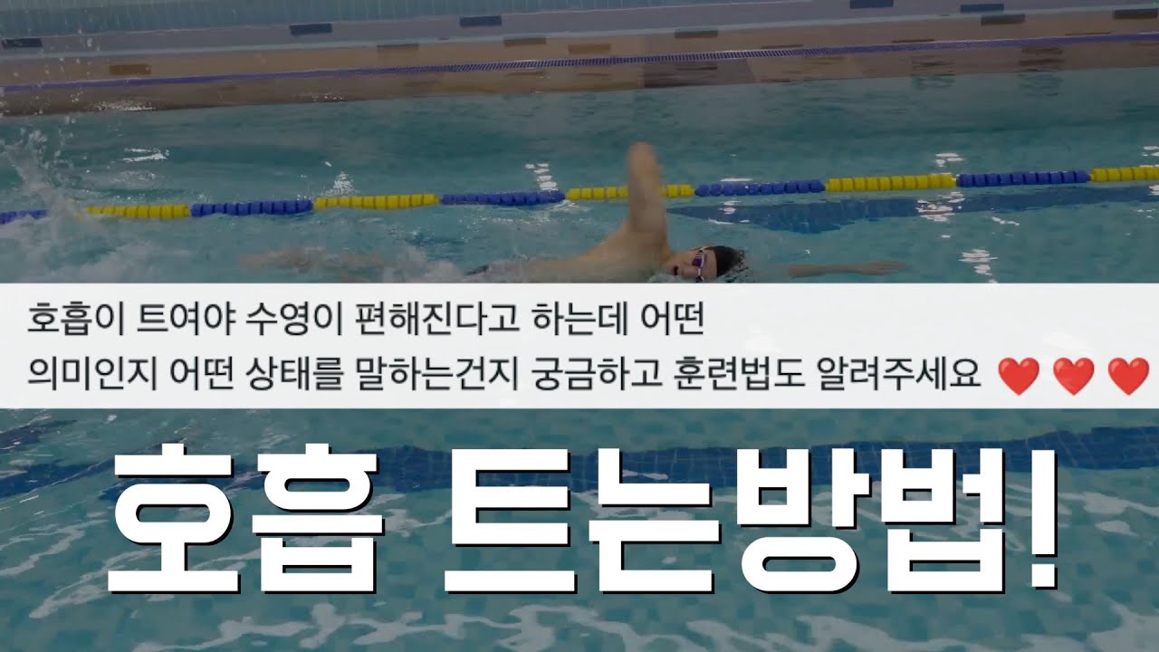호흡 트는법? / 자유형 편하게 하는 방법 /수영 호흡 / 자유형 호흡 / 자유형 잘하는 방법