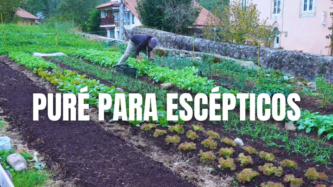Mejorando el espacio y un puré para escépticos