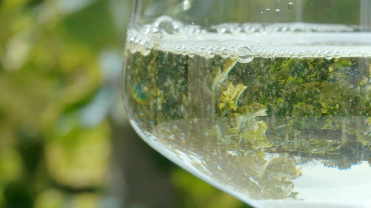 Alkoholfreier Wein im Trend