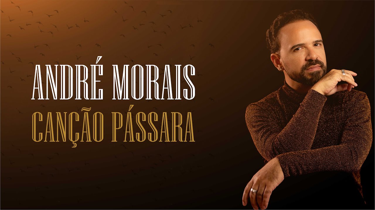 André Morais | Canção Pássara