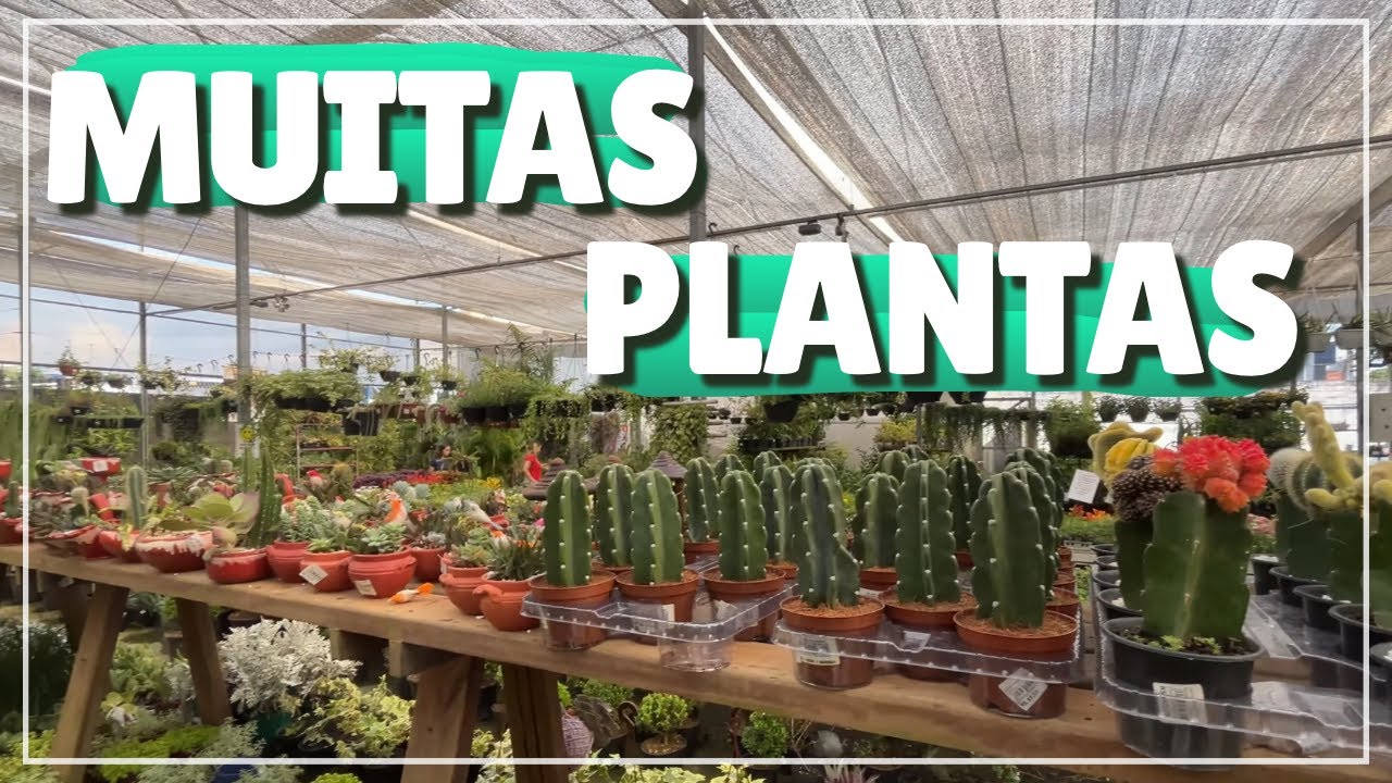 Tour Completo: Os melhores Gardens da cidade em um só vídeo🤩