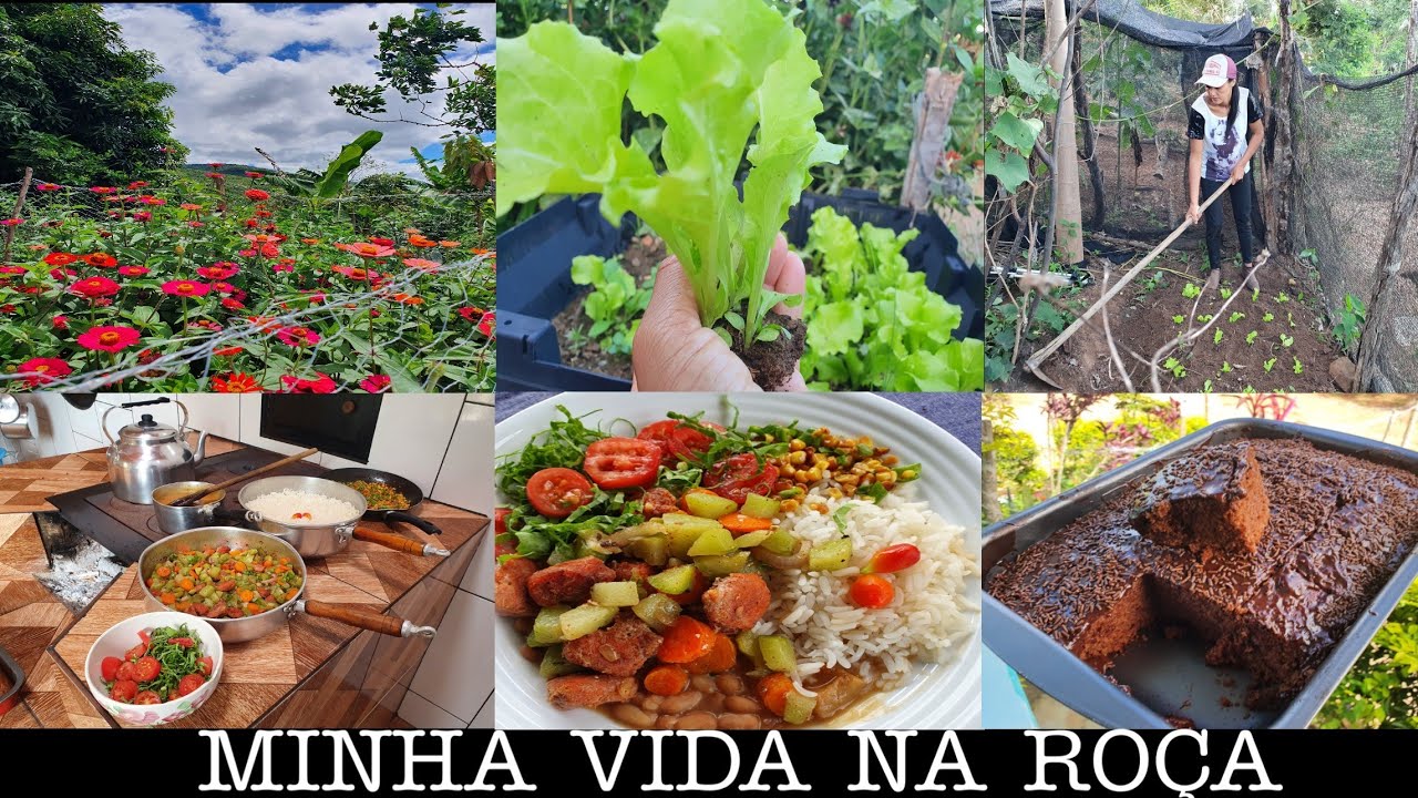 VLOG❣CUIDANDO DA HORTA | ALMOÇO E BOLO DE CHOCOLATE