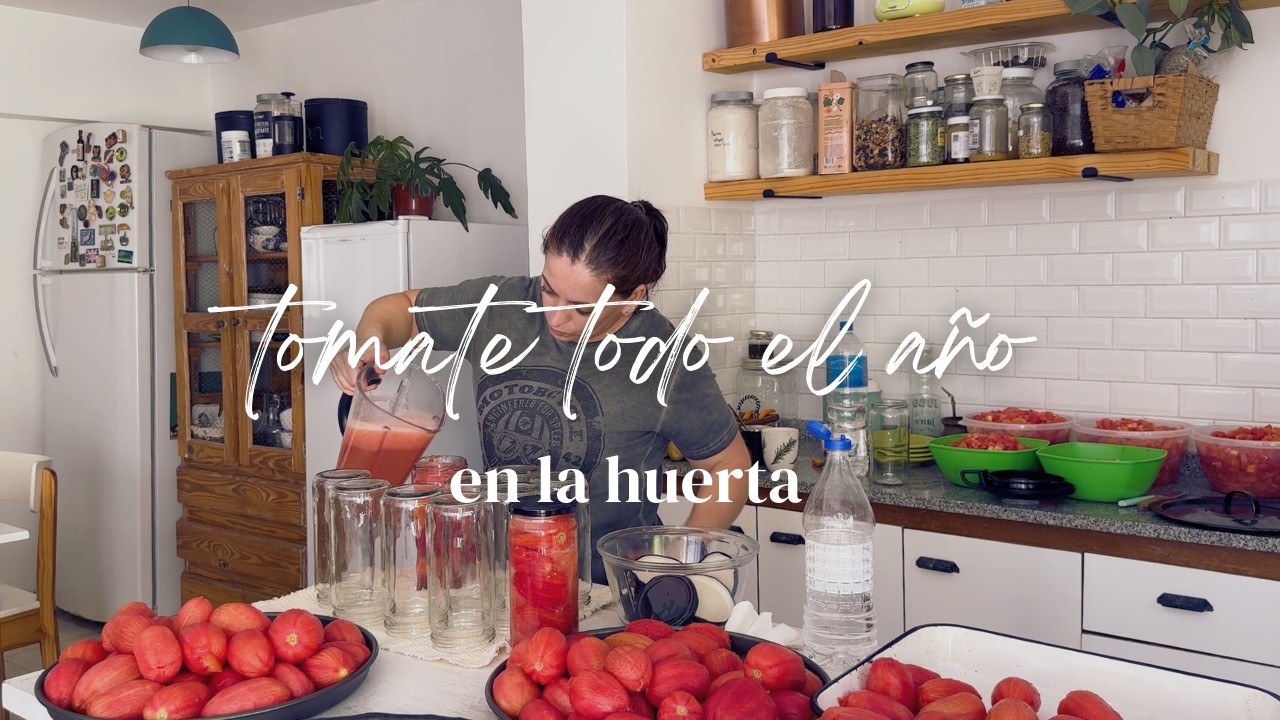 TOMATE para todo el año | Conserva de tomates al natural y salsa de tomate FÁCIL