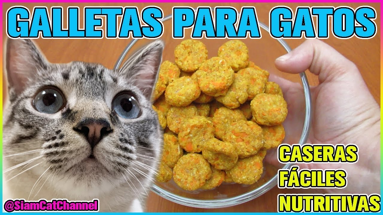 Galletas Para Gatos Caseras, Fáciles, Pocos Ingredientes y Muy Nutritivas!! - SiamCatChannel
