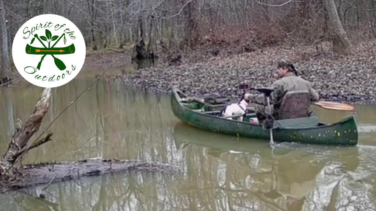 Putting Limb Hooks in the Swamp
