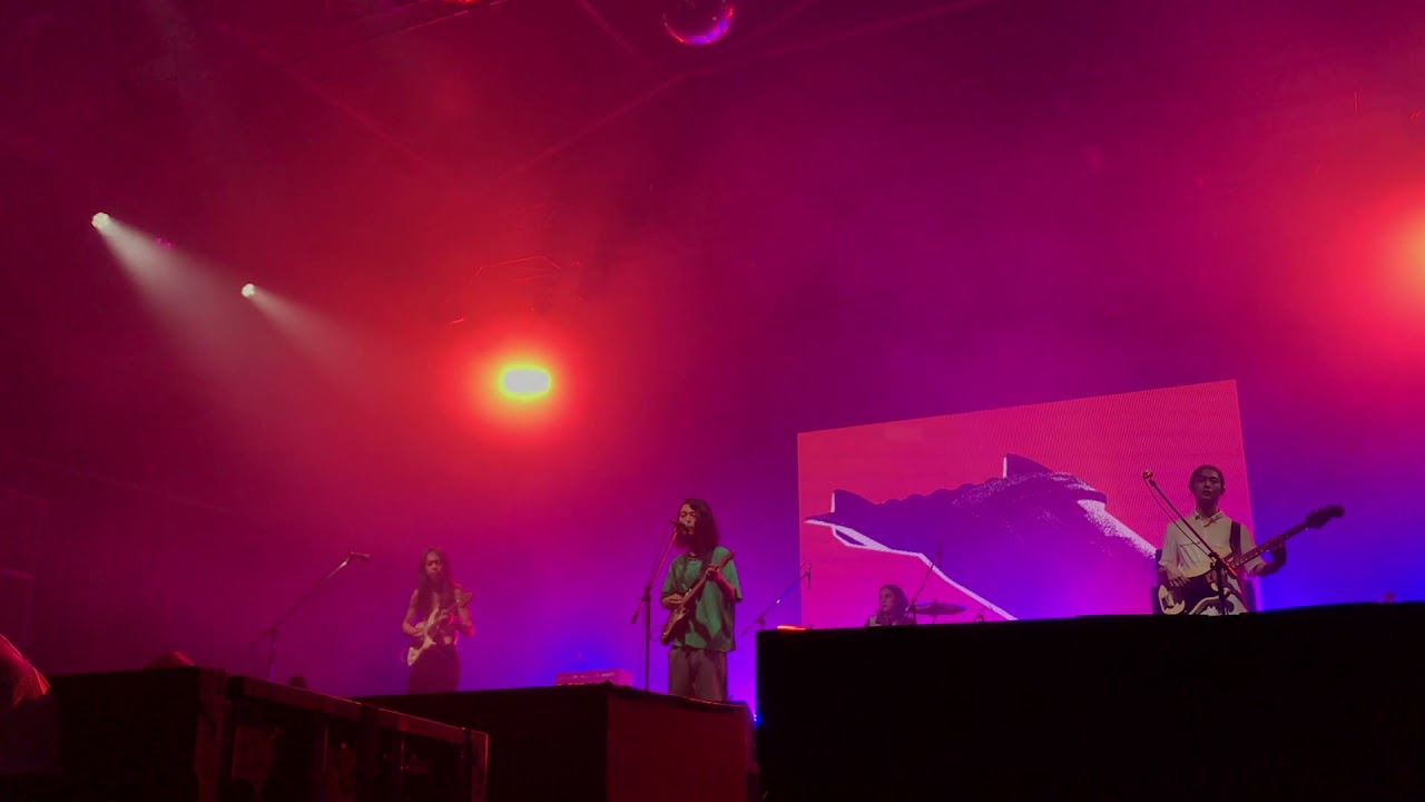 An Ordinary Love  DYGL in FUJI ROCK FES.'19